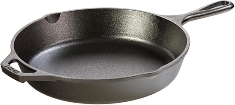 lodge skillet review insights